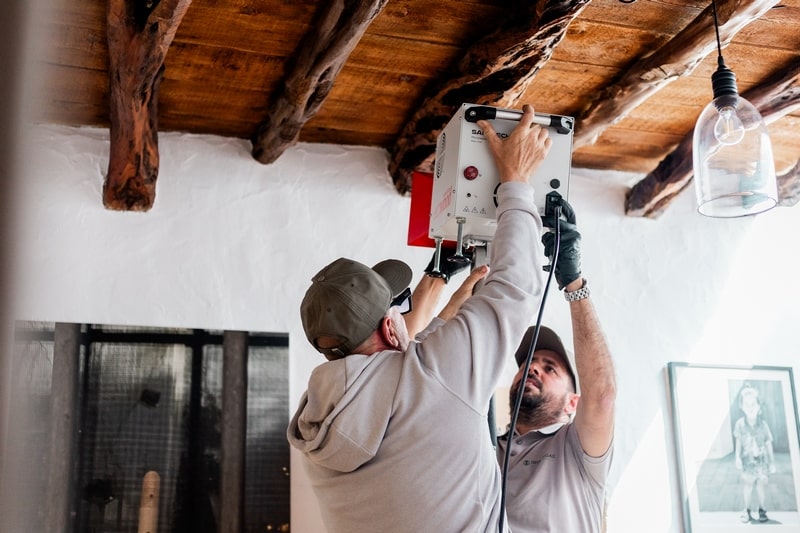 Close up soldier termite on dried leaf